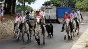 Fête votive de Sernhac : programme dévoilé du 14 au 16 août