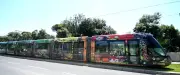 Fête votive à Lattes : tramway fermé en soirée du 19 au 22 août