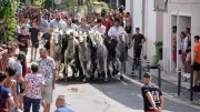 Fête votive à Montarnaud : traditions taurines et animations