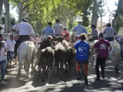 Fêtes de Pélissanne : taureaux, traditions et ferveur populaire