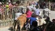 Fêtes votives à Vers-Pont-du-Gard : une foule nombreuse pour les aubades