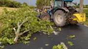 Gabian : un violent coup de vent provoque des dégâts