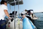 Garde régionale marine : veille et sensibilisation dans le golfe de Saint-Tropez