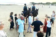 Garde républicaine à cheval : six cavaliers patrouillent tout l'été à La Londe