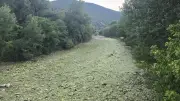 Gardon fragilisé : les pêcheurs veillent sur la rivière