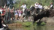 Gaze à Lansargues : traditions et émotions