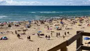 Gironde et Landes : appel aux touristes après les incendies