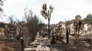 Gironde : explosion d'obus de la Seconde Guerre mondiale après le mégafeu