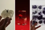 Glacons parfaits : la quête esthétique de Leslie Kirchhoff