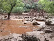 Grand Canyon : 15 personnes recherchées après une crue soudaine