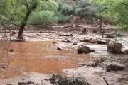Grand Canyon : au moins un mort et une quinzaine de disparus après une crue éclair