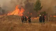 Grèce : collision de deux hélicoptères lors d'un incendie