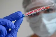 Hantavirus : nouveau cas de souche Andes détecté en France