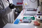 Hantavirus : un cas positif en Espagne a transité en France