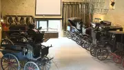 Haras d'Uzès : visites guidées et compétitions tout l'été