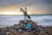 Harry Potter : des fans sauvent la tombe de Dobby