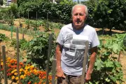 Henri Zunino, passionné de jardinage à Vallauris, s'est éteint