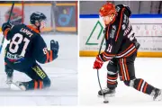 Hockey sur glace : les Boucaniers de Toulon attaquent la D2 dès le camp d'entraînement