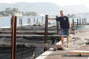 Holothuries : un aquaculteur varois teste leur élevage