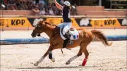 Horse-ball : l'équipe de France U16 championne d'Europe