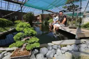 À Hyères, Bonsaï PACA soigne et enseigne l'art du bonsaï depuis 2023