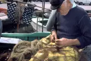 Il y a 50 ans, des pêcheurs du Var alertaient déjà sur la pollution en Méditerranée
