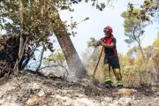 Incendie dans le Var : après une nuit calme, une journée à haut risque