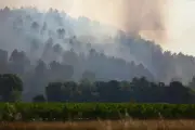 Incendie dans le Var : le maire de Montfort-sur-Argens reste inquiet
