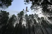 Incendie dans les Landes : 1 580 hectares brûlés, 650 personnes évacuées