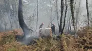 Incendie dans les Landes : 1 580 hectares brûlés, 650 évacuations