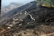 Incendie de Gonfaron : 5 ans après, un traumatisme toujours vivace