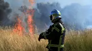 Incendie de végétation à Saint-Gilles : un hectare brûlé, aucun blessé