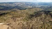 Incendie des Corbières : un an après, la renaissance du paysage audois