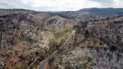 Incendie des Corbières : un an après, le massif toujours marqué