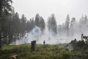 Incendie des Hautes Fagnes : feu contenu, situation toujours compliquée