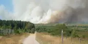 Incendie en Belgique : 1 650 hectares déjà brûlés dans un parc naturel