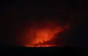 Incendie en Belgique : 1.650 hectares brûlés dans les Hautes Fagnes