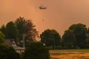 Incendie en Belgique : 3 000 hectares brûlés, évacuations et renforts européens