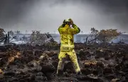 Incendie en Belgique : le plus grand feu de forêt encerclé, mais pas maîtrisé