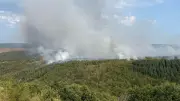 Incendie en Lozère : 150 hectares brûlés, la commune d'Alzon menacée