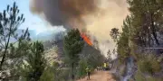 Incendie à l'ouest de Madrid : un nouveau feu ravage 200 hectares