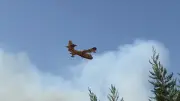 Incendie près de Carcassonne : le feu contenu, 50 hectares brûlés