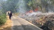 Incendie à Roquefort : 26 hectares brûlés, 70 pompiers mobilisés
