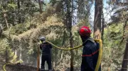 Incendie à Vialas : 2 000 m² brûlés derrière le rocher de Trenze