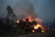 Incendies : 1000 ha brûlés dans le Var, mégafeu girondin contenu
