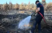 Incendies : 16 départements en vigilance orange canicule, campings rouvrent
