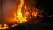 Incendies 2026 : 500 M€ de dégâts en Gironde, Landes et Var