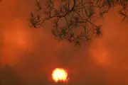 Incendies 2026 : émissions CO2 record en France