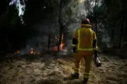 Incendies : 402 interpellations, dont 156 mineurs, selon Nuñez