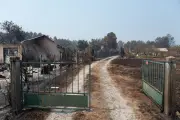 Incendies : 500 M€ de dégâts pour les assureurs